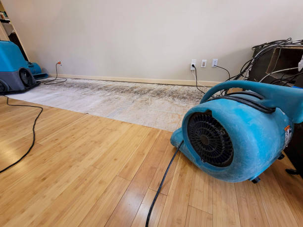 Professional Burst Pipe Water Damage technician working in Greenback, TN